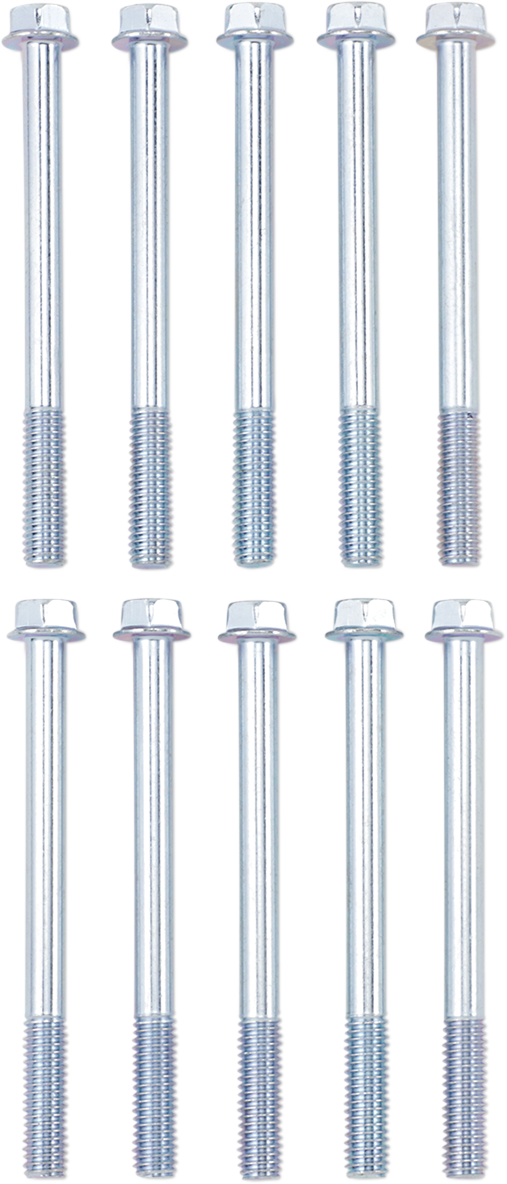 Bolt - European - M5 x 16 - 10-Pack - Image 2