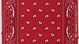 ZAN HEADGEAR Motley Tube® - Red Paisley