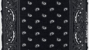 ZAN HEADGEAR Motley Tube® Fleece Lined - Black Paisley