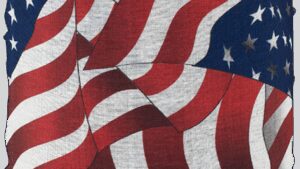 ZAN HEADGEAR Motley Tube® Fleece Lined - Wavy American Flag