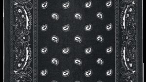 ZAN HEADGEAR Motley Tube® Sportflex® Windproof Tube - Black Paisley