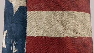 ZAN HEADGEAR SportFlex® Neck Gaiter - Patriot