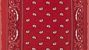 ZAN HEADGEAR Motley Tube® Fleece Lined Tube - Red Paisley