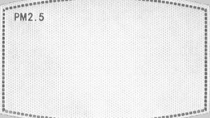 ZAN HEADGEAR Replacement PM 2.5 Filter - 5 Pack