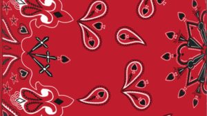 ZAN HEADGEAR Motley Tube® SportFlex® - Red Paisley