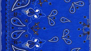 ZAN HEADGEAR Motley Tube® Fleece Lined - Blue Paisley