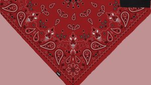 ZAN HEADGEAR SportFlex® Bandana - Red Paisley