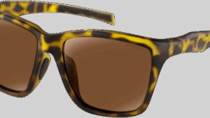 Shopping Cart, Shopping Cart