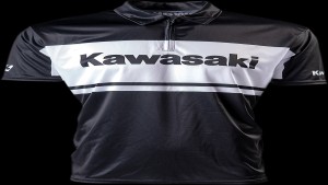 Shopping Cart, Shopping Cart