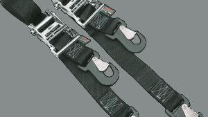 POWERTYE MFG. Big Daddy Tie-Downs - 2" - 2 Snap-hook Ends - Black