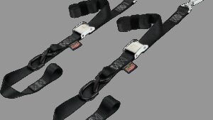 POWERTYE MFG. Cam Tie-Down - 1.5" - Black