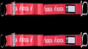 Shopping Cart, Shopping Cart