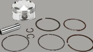 Shopping Cart, Shopping Cart