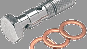 GOODRIDGE Banjo Bolt - 3/8-24 - Double - Chrome