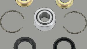 Shopping Cart, Shopping Cart