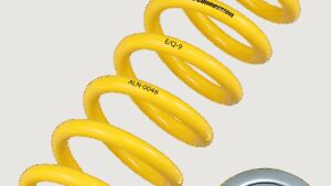 FACTORY CONNECTION Shock Spring - Rear - Spring Rate 269 lb/in