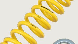 FACTORY CONNECTION Shock Spring - Rear - Spring Rate 313 lb/in