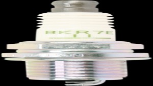 Shopping Cart, Shopping Cart