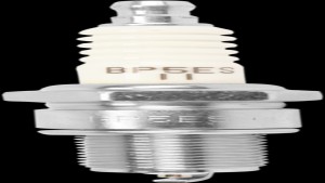 Shopping Cart, Shopping Cart