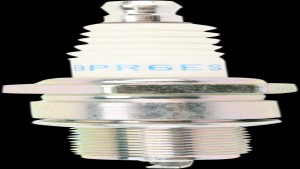 Shopping Cart, Shopping Cart