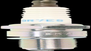 Shopping Cart, Shopping Cart