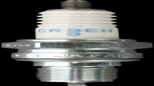 Shopping Cart, Shopping Cart