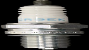 Shopping Cart, Shopping Cart