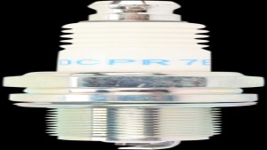 Shopping Cart, Shopping Cart