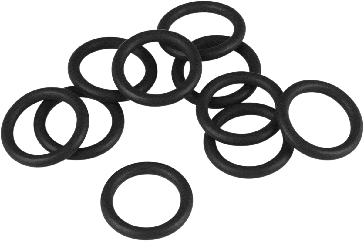 JAMES GASKET Air Cleaner Back Plate O-Ring - Twin Cam