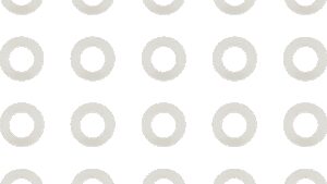 JAMES GASKET Derby Nylon Washer