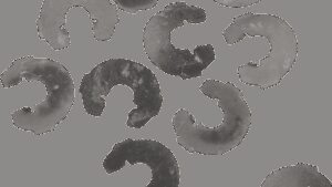 EASTERN MOTORCYCLE PARTS Snap Rings - Clutch Lever Stud