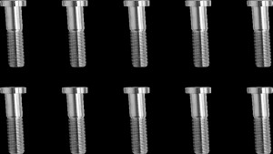 Shopping Cart, Shopping Cart