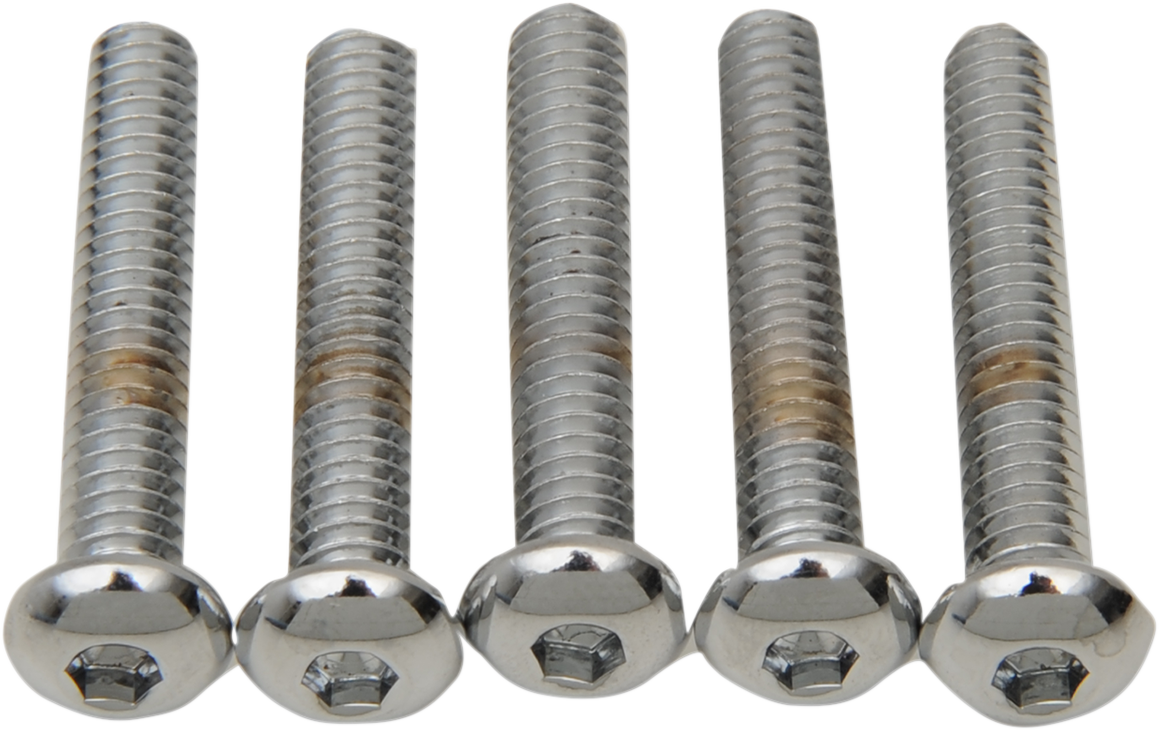 DRAG SPECIALTIES Bolts - Button Head/Replacement - 1/4"-20 x 1-1/4" - 5 Pack