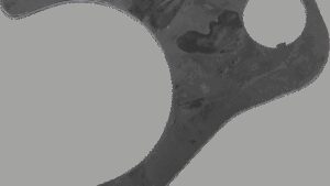 ANDREWS Shift Fork - Center Shaft