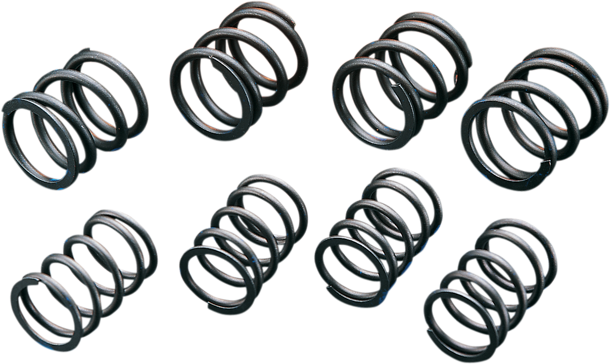 ANDREWS High-Lift Valve Springs