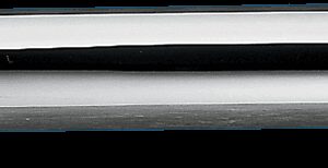 PAUGHCO 3" Slip-On Turn Down/Turn Out Muffler - 31" Long