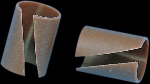 Shopping Cart, Shopping Cart