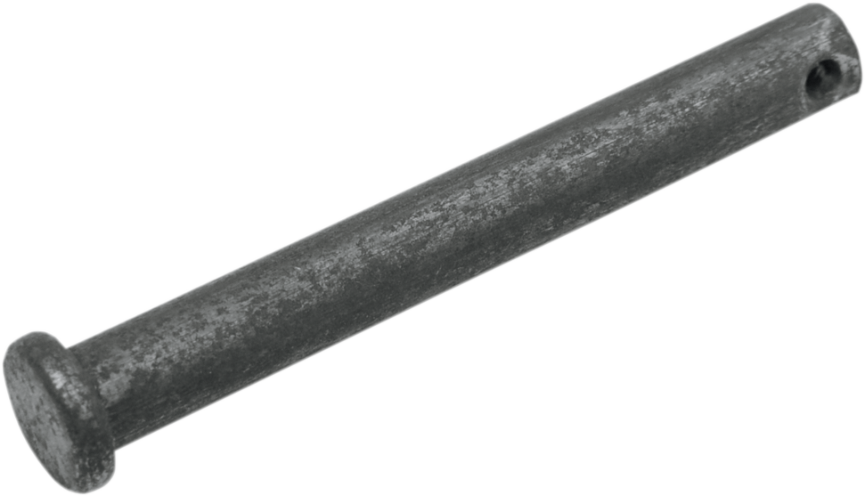 ALL BALLS Brake Caliper Piston - Image 2