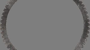 BELT DRIVES LTD. Starter Ring Gear