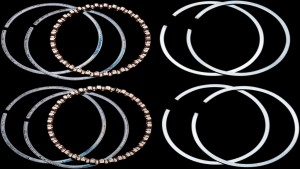 HASTINGS RINGS 1200 050