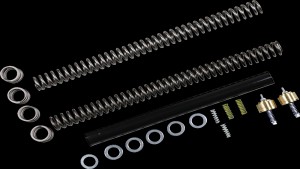 RACE TECH FRK LWR KT W/GLD VLV, MED