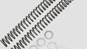 RACE TECH Fork Springs - 0.42 kg/mm