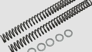 RACE TECH Fork Springs - 0.46 kg/mm