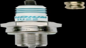 Shopping Cart, Shopping Cart