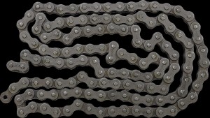 Shopping Cart, Shopping Cart