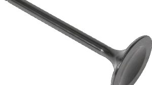 KIBBLEWHITE Valve - Intake - 36.00 mm - Standard - Honda