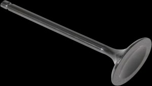 Shopping Cart, Shopping Cart