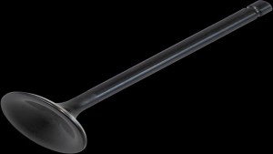 Shopping Cart, Shopping Cart