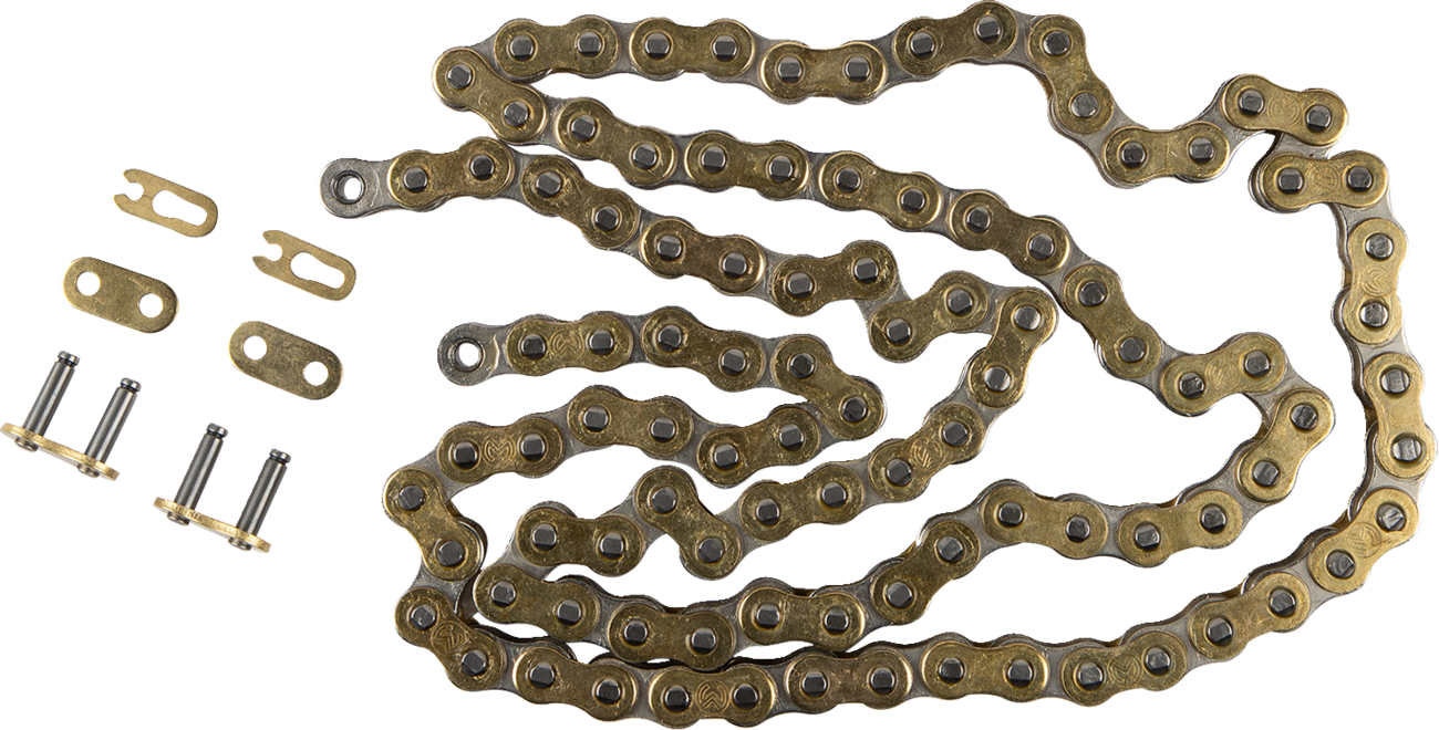 REGINA 520 DR Extra - Drag Racing Chain - 140 Links - Image 2