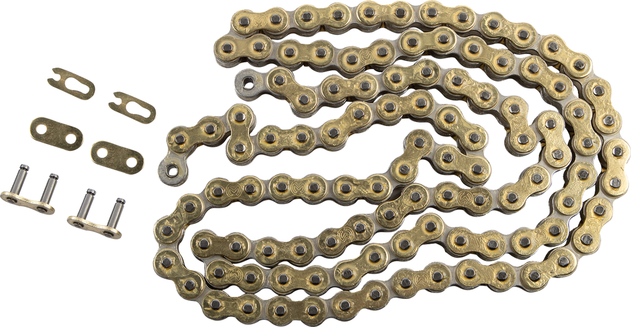 REGINA 420 RX3 - Drive Chain - 114 Links - Image 2